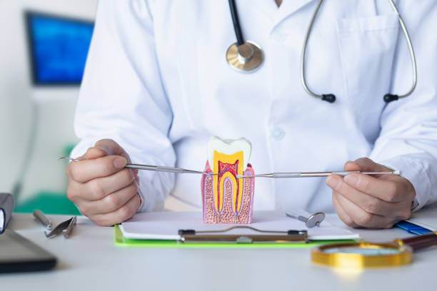 Best Emergency Dentist for Lost Fillings or Crowns in The Village, OK